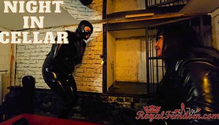 Night In Cellar HD