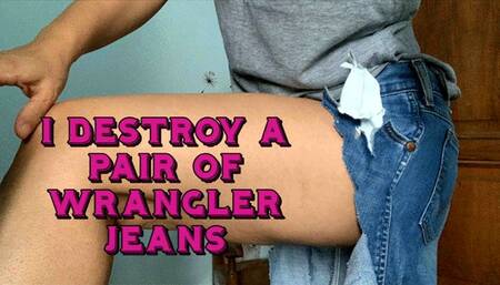 I wear and then destroy a pair of Wrangler jeans