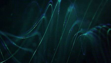 Goddess's TOILET!!!! *mp4*