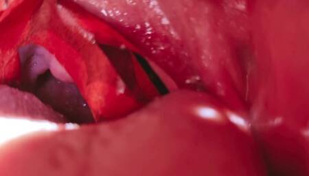 William swallows his shrunken friend