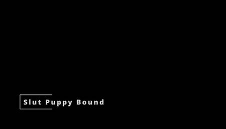 Slut Puppy Bound, Spanked and Orgasmed