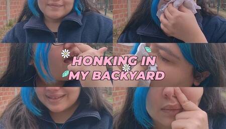Honking In My Backyard