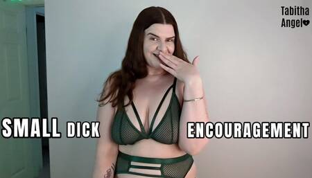 Small Dick Encouragement WMV