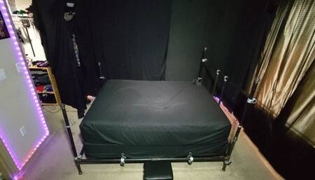 Lumen's May Visit - Full View camera