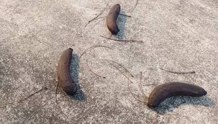 Beautiful high heels crush and trample fruits (3)