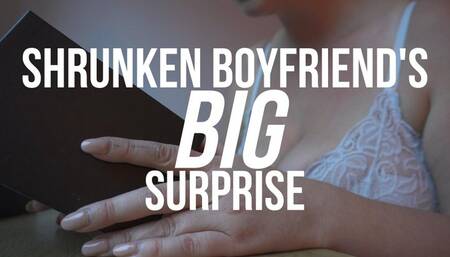 Shrunken Boyfriend's Big Surprise!