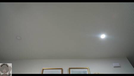 Birthday Vore Dessert