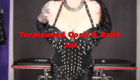 Tormented Cock and Balls Joi for Sinstress
