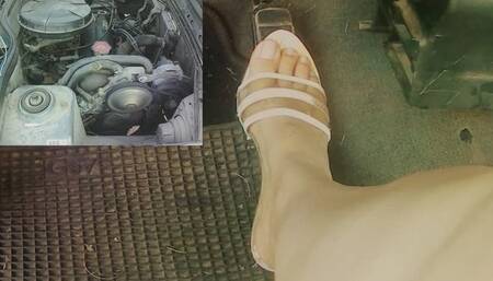 Pedal Pumping hard revving mules