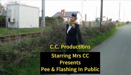 Pee & Flashing Collection in Public 1