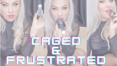 Sniffing Caged & frustrated