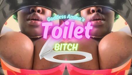 Goddess Amina’s Toilet Bitch