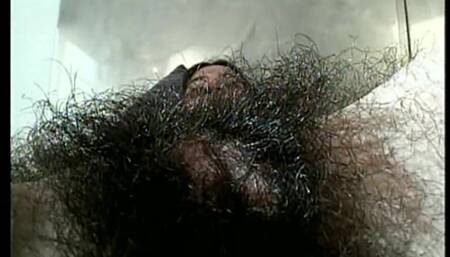 Little Hairy Piglets 18