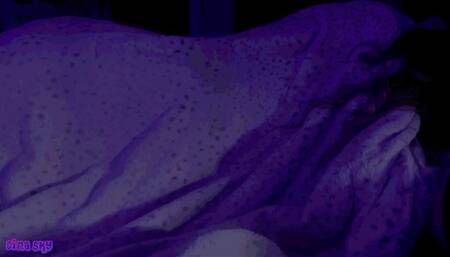 Sneaky Sex with Step-Sister while wife is in Bed