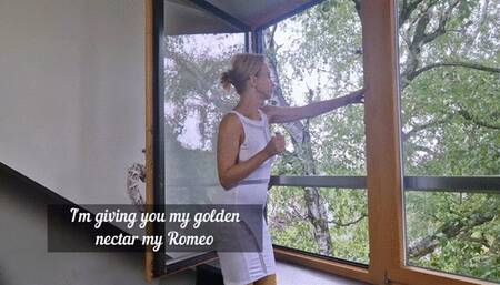 I'm giving you my golden nectar my Romeo - part 1