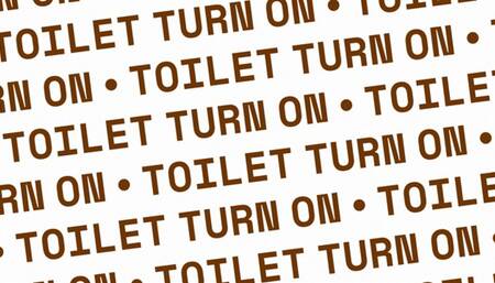 Toilet Turn On