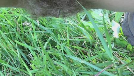 Pee in forest, risky outdoor pee compilation 4K