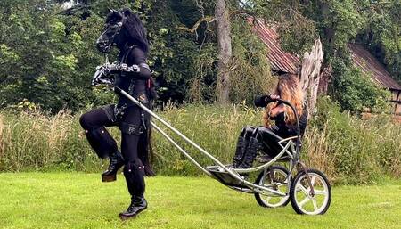 Ponyplay Cart Pulling 1