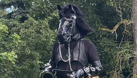 Ponyplay Cart Pulling 2