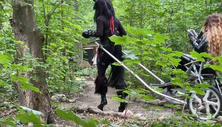 Ponyplay Cart Pulling 3