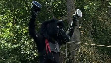 4-Day Ponyplay Training Compilation