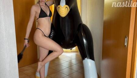 sexy black & shiny stallion seduction