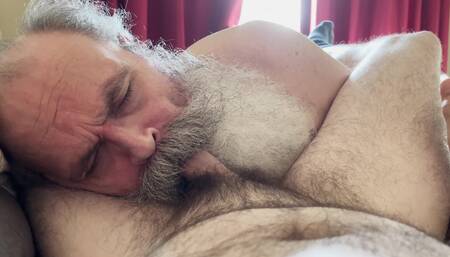 Big Bearded Daddy Sucks Cub Cock