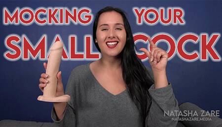 Girlfriend Mocks Your Cock