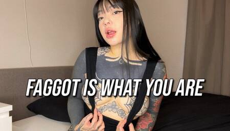 Faggot Is What You Are