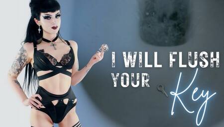 I Will Flush Your Key