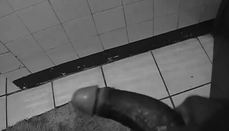 Jamaican Cock