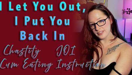 I Let You Out, I Put You Back In