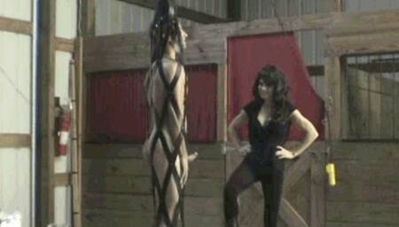 Suspension Cage Thrashing Part 1 (MP4)