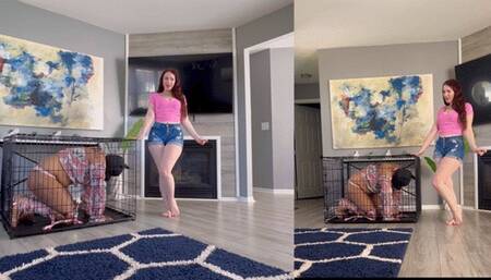 Puppy Training With My Pink Sissy Poodle