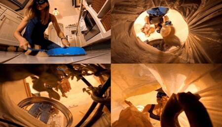 Swept up and dumped in the kitchen trash (small version)