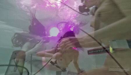 337 - Dance of the Sirens