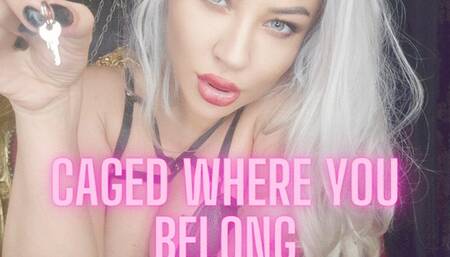 Caged where you belong