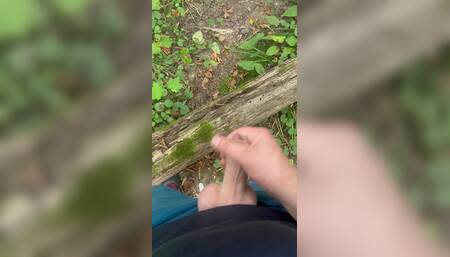Finished on a Walk in the Forest