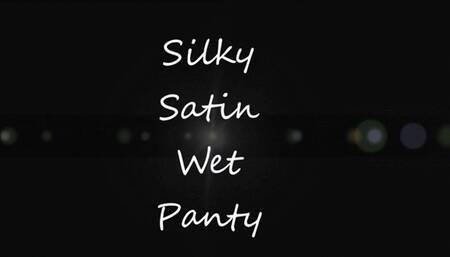 SILKY SATIN WET PANTY