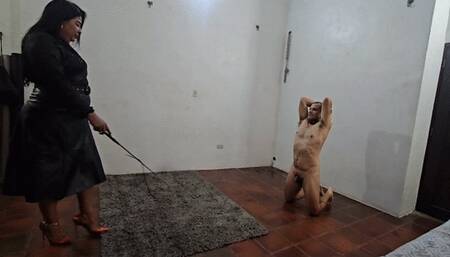 Whipped until collapse by the Amazon BBW Goddess Balbina