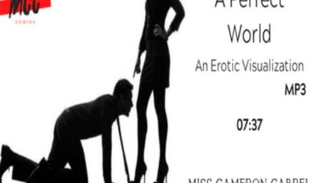 A Perfect World: Erotic Visualization || AUDIO MP4 || CHASTITY
