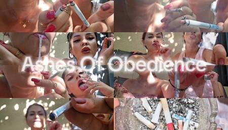 Ashes Of Obedience