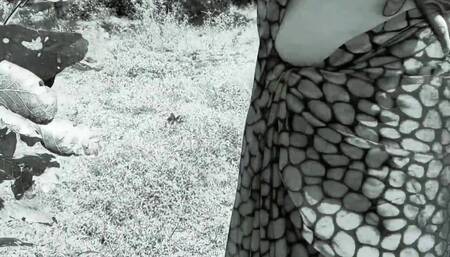 Taking Me to the Forest, She Said, Fuck Me, Rajaji, I Am Feeling Very