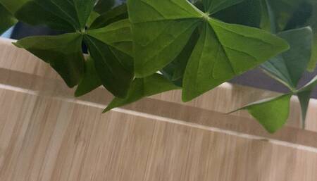 NAILS and JEWELRY Show!!