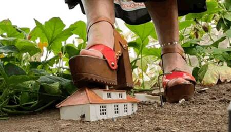 CC - The Garden of Crushed Illusions