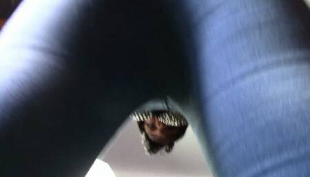 BRUNETTE SEX FARTING FOR YOU WITH A LOT OF CLASS AND HORNINESS part 1 BY ADRIANA CAM BY DANI FULL HD