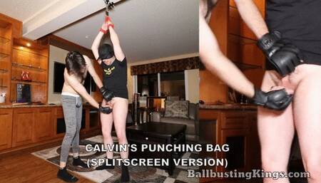 Calvin's Punching Bag