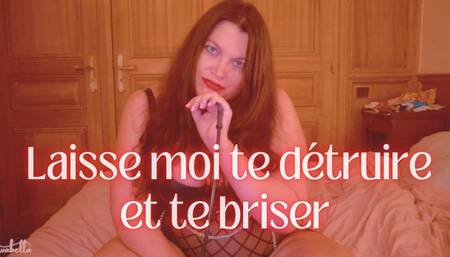 Laisse moi te détruire et te briser