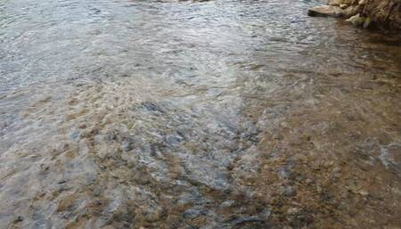 Fifi wearing socks with her sandals and getting them wet in the creek replay