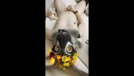 Furry Fursuit Cum on Face // Cum on Own Fursuit Head